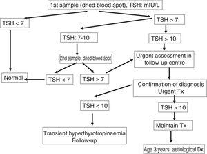 Algorithm of the protocol for early detection of congenital hypothyroidism.