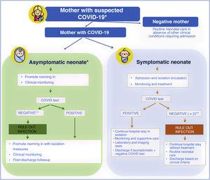 Management of neonates born to mothers with suspected SARS-CoV-2 infection. * In case of mothers undergoing evaluation or that tested positive, if the mother is oligosymptomatic or asymptomatic, rooming in of mother and infant is recommended with contact and droplet isolation measures (hand hygiene, face mask and crib 2 m apart from mother’s bed) and promotion of breastfeeding. ** In symptomatic infants born to mothers with confirmed infection or strong suspicion of infection based on clinical/epidemiological factors, ruling out infection requires 2 negative viral PCR tests (at birth and at 24−48 h). In asymptomatic infants, 1 or 2 PCR tests will be done depending on test availability.