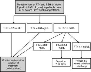 Protocol for monitoring thyroid function in preterm neonates born at or before 32 weeks of gestation in our hospital.