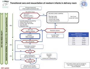 General algorithm for neonatal resuscitation, NRG-SENeo.