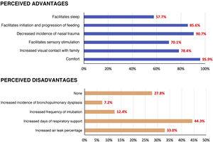 Advantages and disadvantages perceived by surveyed professionals.