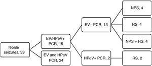 Flow chart of the study sample. EV, enterovirus; HPeV, human parechovirus; RS, rectal swab; NPS, nasopharyngeal swab.