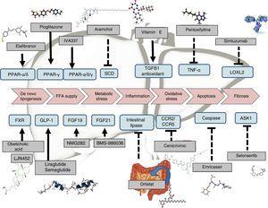 Potential drugs according to mechanism of action.