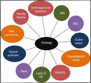 The etiology of MC. As shown on the graph, the etiology of MC is connected with anthraquinone laxatives, IBS, IBD, colonic tumor, hyperplastic polyp, NSAIDs, lack of VE, ileus, topical anthralin, Rett syndrome and family history.