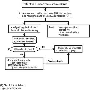 General approach to patients with chronic pancreatitis and pain.