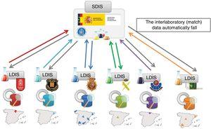 Hierarchy of the DNA database in Spain with the CODIS software.
