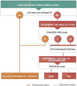 Algorithm for antithrombotic treatment in atrial fibrillation. DOAC: direct action oral anticoagulants; AVK: anti vitamin K; AF: atrial fibrillation.