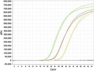 Comparison of E gene amplification curves by the monoplex and duplex PCR strategy. The curves of the same colour represent the results obtained by the two methods. Three positive patients (green, red, yellow curves) and one negative patient (blue) are shown as examples.