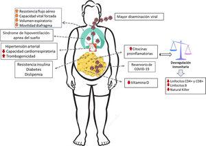 Potenciales mecanismos patogénicos de infección por COVID-19 en personas con obesidad.