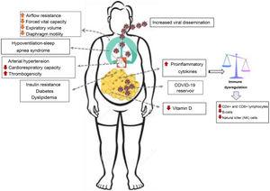 Potential pathogenic mechanisms of COVID-19 in people with obesity.