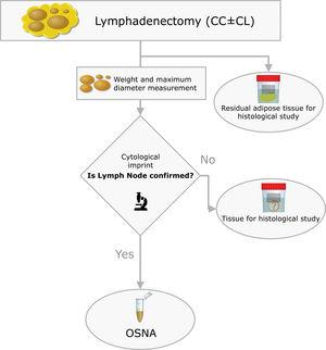 Pathological processing of the lymph nodes (CC: Central Compartment; LC: Lateral Compartment; OSNA: One-Step Nucleic Acid Amplification).