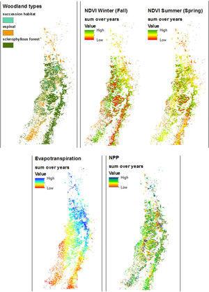 Distribution of the components of the index of ecological condition of the woodlands, each summed for all years (2000–2001, 2003–2006, 2008–2013) as an indication of their spatial patterning over the period in question. Top left, the three woodland habitat types for reference.