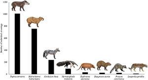 Relative frequency of medium- and large-sized mammals sampled at the 12 monitored underpasses along Highway MS-040 in Mato Grosso do Sul State, Brazil. Only species with ≥10 independent records are shown.