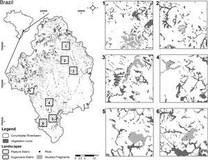 Distribution of the landscapes dominated by pastureland (1–3) and sugarcane (4–6) in the Corumbataí River basin (Southeastern Brazil), with the corresponding land use classes, with a highlight to the two forest remnants and plots sampled in each landscape. Percentage of forest cover in each landscape: 1 = 19,9%; 2 = 14,7%; 3 = 21,4%; 4 = 15,9%; 5 = 12,1%; 6 = 24,0%.