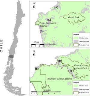 Study area including six rural communities adjacent to protected areas in the coastal range of Los Ros region, Chile; (A) Pilolcura, (B) Curiñanco, (C) Bonifacio, (D) Chaihuín, (E) Huiro and (F) Cadillal. Map shows wooded areas (native forests and plantations) in green and other land uses in grey. Note: Only the northernmost sections of the Valdivian Coastal Reserve and Alerce Costero National Park are shown.