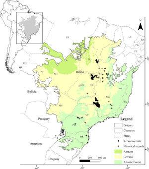 Presence records (recent and historical) of the Brazilian Merganser and the geographical space used for modeling the species distribution.
