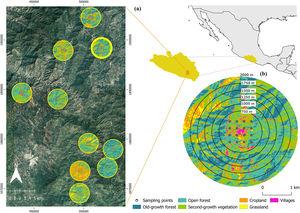 Location of the studied landscapes (2-km radius) in the La Montaña region, southwestern Mexico (a). We indicate the different buffers used to determine the scale of forest cover effects on bird diversity (b).