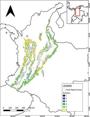 Species richness. Number of focal species present in each pixel from 1000 to 2300 m asl across the Colombian Andes. Pixels with four or more species present were defined as Migrant Focal Areas. Species: Olive-sided Flycatcher (Contopus cooperi), Eastern Wood-Pewee (Contopus virens), Acadian Flycatcher (Empidonax virescens), Golden-winged Warbler (Vermivora chrysoptera), Cerulean Warbler (Setophaga cerulea), and Canada Warbler (Cardellina canadensis).