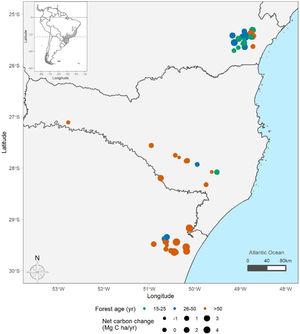 Distribution of sampling points across subtropical Brazilian Atlantic Forest (BAF). The colours represent forest age (green = 15–25 years, blue = 25–50 years, and orange ≥50 years), and point size represents the net carbon change estimates per plot. Distribution of the BAF is detailed in grey. Points show the location of the sampling units at subtropical BAF. For visualization purposes, the position of points is slightly shifted when they overlap.