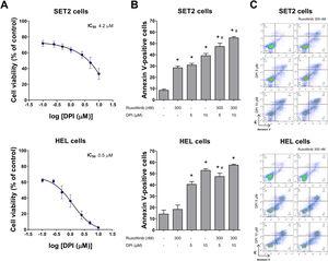 NADPH oxidase inhibition by DPI potentiates ruxolitinib-induced apoptosis in SET2 and HEL cells. (A) Dose-response cytotoxicity was analyzed by methylthiazoletetrazolium (MTT) assay for SET2 and HEL cells treated with vehicle or increasing concentrations of diphenyleneiodonium (DPI; 0.1, 0.25, 0.5, 1, 2.5, 5, and 10 μM) for 48 h. Values are expressed as the percentage of viable cells relative to vehicle-treated controls. Results are shown as the mean ± SD of at least three independent experiments. (B) Apoptosis was detected by flow cytometry in HEL or SET2 cells treated with vehicle or DPI (5 or 10 μM) and/or ruxolitinib (300 nM) for 48 h using an annexin V/PI staining method. Representative dot plots are shown for each condition; the upper and lower right quadrants (Q2 plus Q3) cumulatively contain the apoptotic population (annexin V + cells). (C) Bar graphs represent the mean ± SD of at least three independent experiments quantifying apoptotic cell death. The p values and cell lines are indicated in the graphs. *p < 0.05 for DPI- and/or ruxolitinib-treated cells vs. untreated cells, #p < 0.05 for DPI- or ruxolitinib-treated cells vs. combination treatment at the corresponding doses; ANOVA test and Bonferroni post-test, all pairs were analyzed and statistically significant differences are indicated.