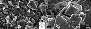 (a) SEM images of hierarchical cobalt oxide mesostructures showing fracture free octahedron-like shape. (b) SEM images of mesostructure cobalt oxide particles showing the layer–layer arrangement of the supernatant.