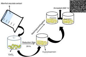 Proposed schematic for the as-synthesized Co3O4 mesoparticles.
