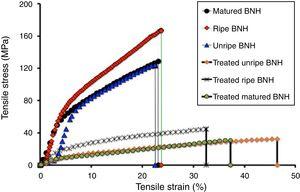 Stress–strain curves of untreated and alkali treated unripe, ripe and matured BNH fibers [19].