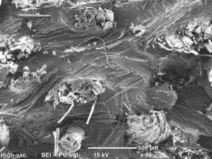 Scanning electron microscopic image of failure surface of the composite.