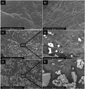 SEM micrographs of piece L4: (a) and (b) uncovered, (c) and (d) covered with TiO2 nanoparticles (BSE images), and (e) and (f) covered with Ag–TiO2 nanoparticles (BSE images).