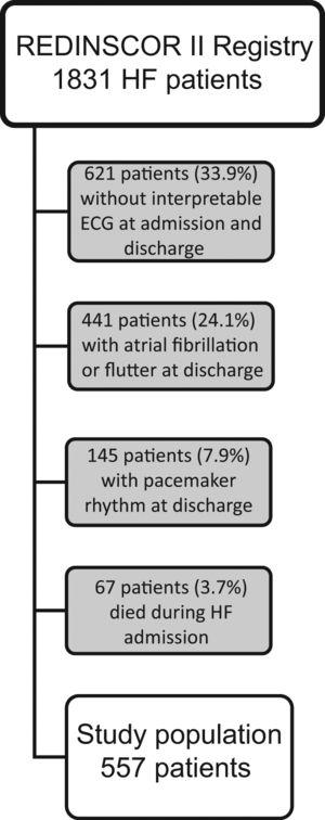 Flowchart of the study population. ECG, electrocardiogram; HF, heart failure.