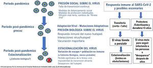 Factores sociales, inmunológicos y virales que implican presión biológica sobre SARS-CoV-2 en las diferentes fases epidémicas.