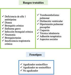 Rasgos tratables y fenotipos clínicos según GesEPOC 2021. Adaptado de Miravitlles et al2.