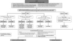Documento de consenso de asma grave en adultos. Actualización 2022 ...