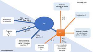 Células dendríticas plasmocitoides (pDCs): conexão de relevância entre as imunidades inata e adaptativa. Adaptado de Mitchell et al., 2018 e Swiecki et al., 2015.9,10 APRIL, ligante indutor de proliferação; AFF, fator de ativação da célula B da família fator de necrose tumoral alfa; CD, grupo de diferenciação; ICOSL, ligante coestimulador induzível; IDO, indoleamina‐2,3‐dioxigenase; IFN‐α, interferon alfa; IL, interleucina; MHC, complexo de histocompatibilidade; NK, natural killer; pDC, célula dendrítica plasmocitoide; TGF‐β, fator de transformação do crescimento beta; TH, linfócito T‐helper; TRAIL, ligante indutor de apoptose relacionado ao fator de necrose tumoral alfa; Treg, linfócito T‐regulatório.