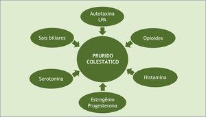 Fisiopatologia do prurido colestático. LPA, ácido lisofosfatídico.