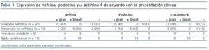 Expresión De Nefrina, Podocina Y α-actinina-4 En Tejido Renal De ...