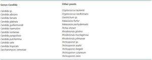 Clinical and microbiological aspects of fungal peritonitis in ...