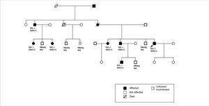 Familial chronic interstitial nephropathy with hyperuricaemia caused by ...