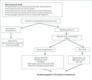 Executive summary of the consensus document on the management of renal ...